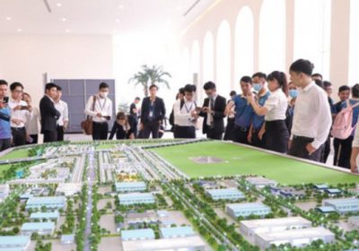 nghề bất động sản là gì