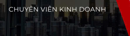 Chuyên viên kinh doanh bđs Hoàng Mai