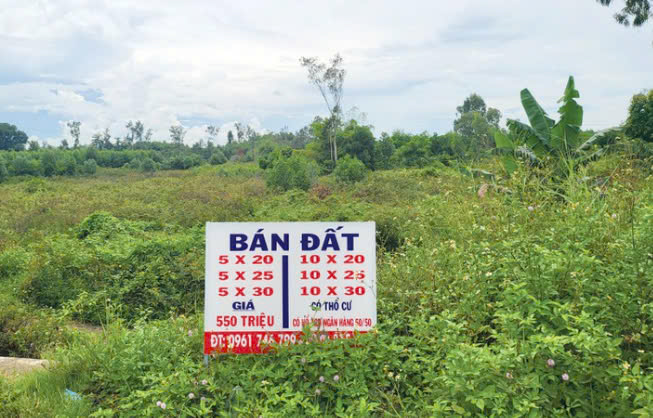 Bán đất