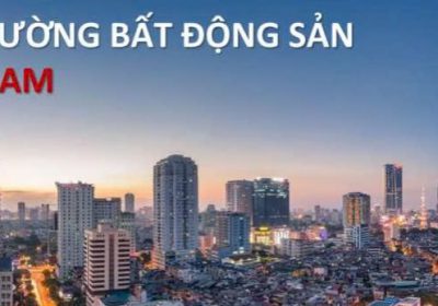 Báo bất động sản