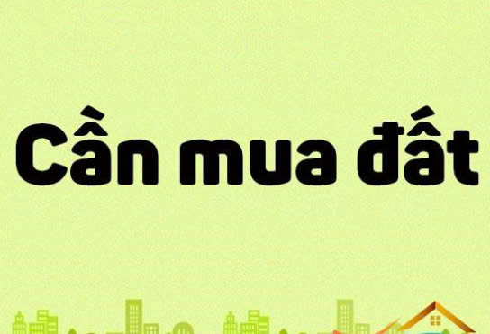 Cần mua đất