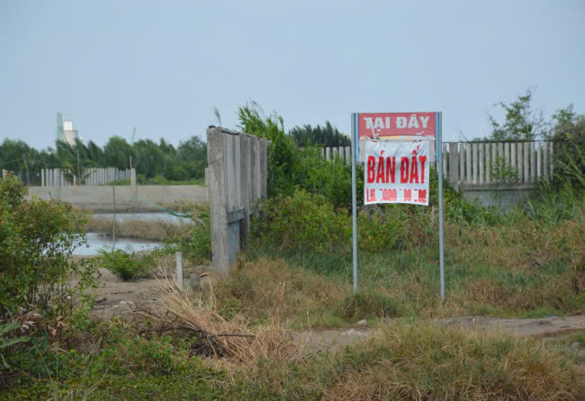 Bán đất an bình