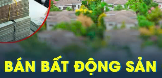 Bán đất bất động sản