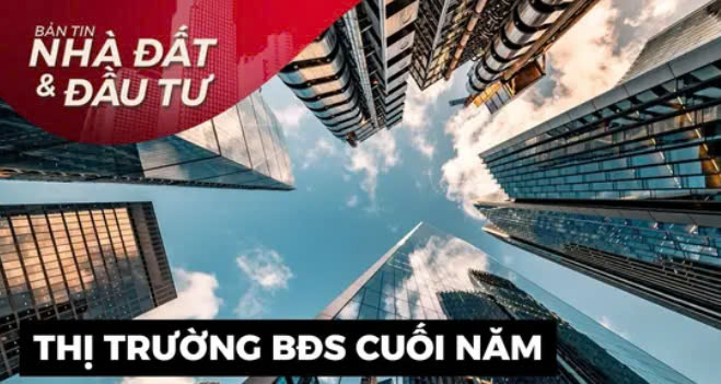 Bản tin nhà đất
