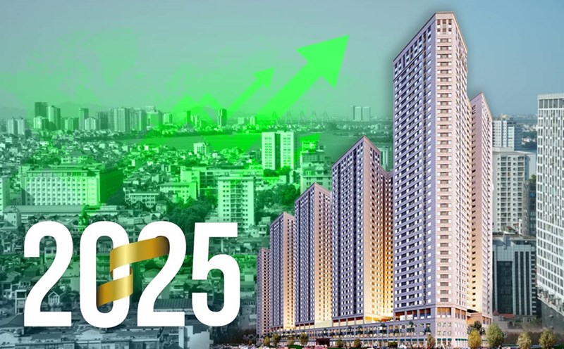Chuyên Gia Nói Gì Về Thị Trường Bất Động Sản Việt Nam Năm 2025