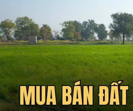 Mua bán đất tại Hà Nội