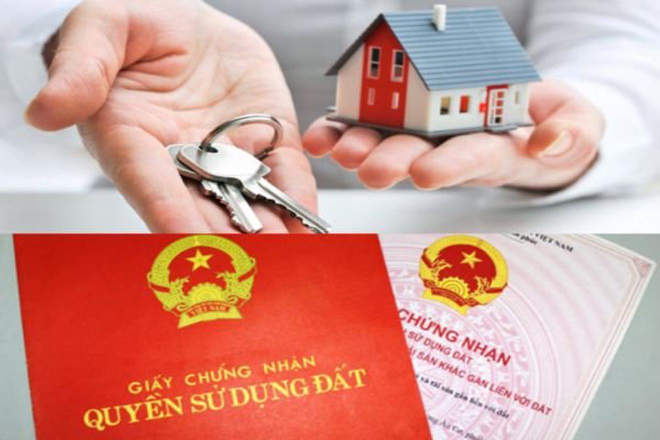 Làm môi giới đất có cần bằng cấp không?