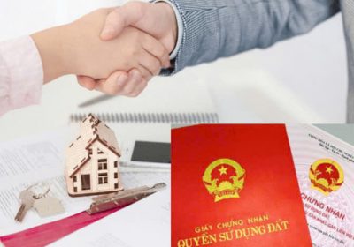 Mua bán cho thuê nhà đất