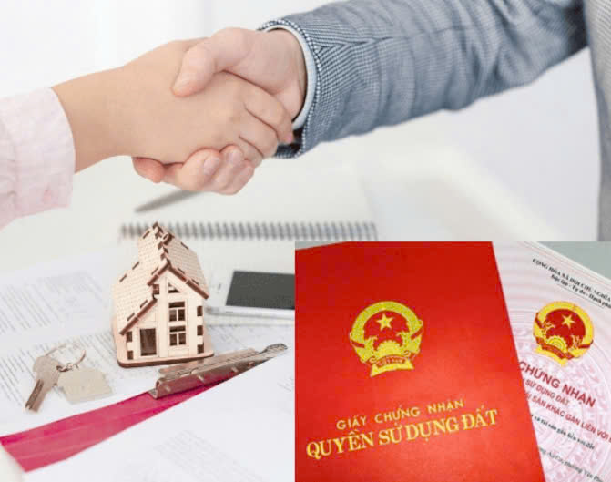 Công việc môi giới đất có tiềm năng phát triển không?