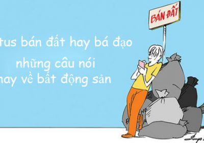 Những Câu Bán Đất Hay